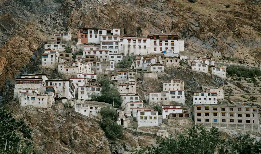 Budget Below ₹ 50000