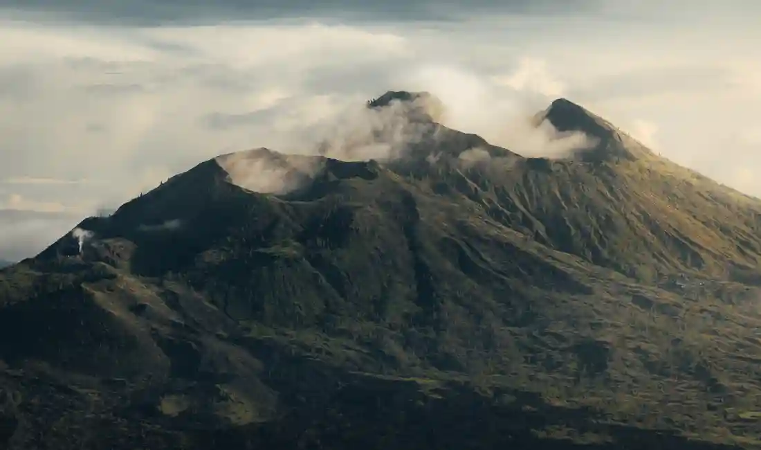 Friendship Unleashed