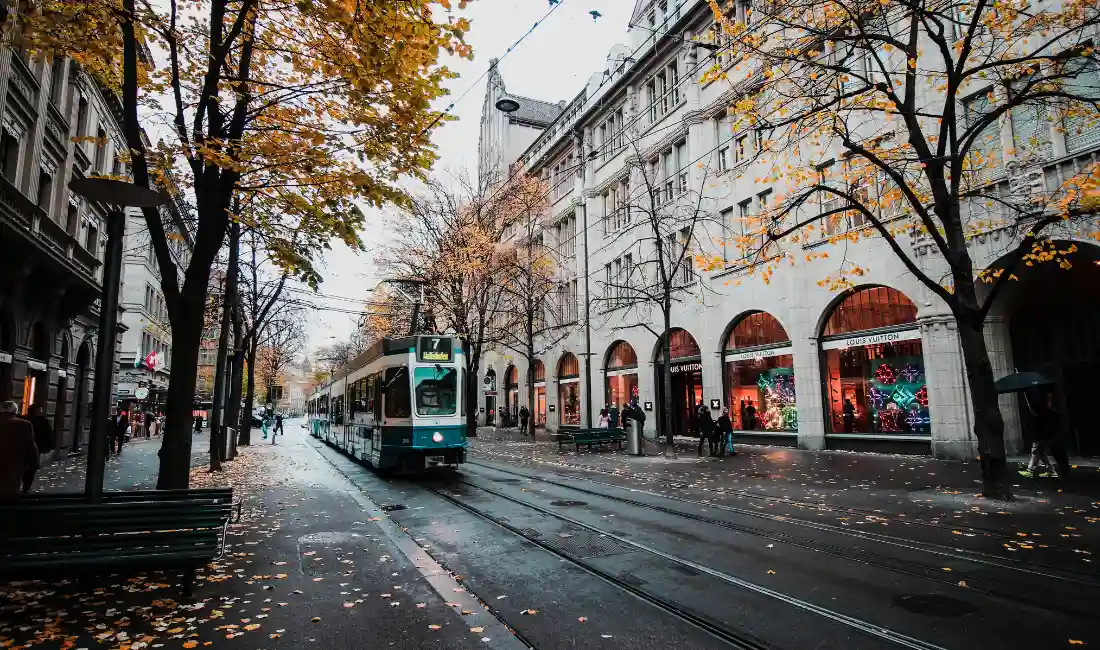 SCANDINAVIAN DELIGHTS