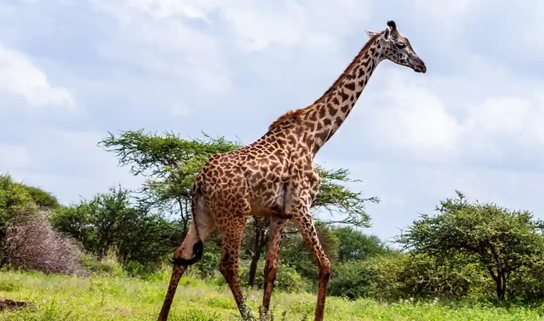 Budget Below ₹ below-three-lakh