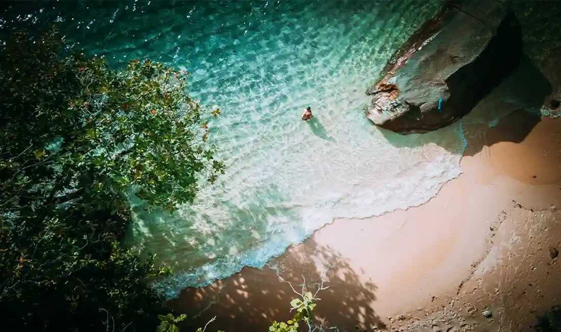 Budget Below ₹ 50000