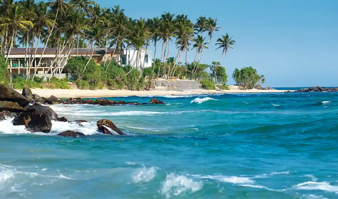 Tropical Trails: 7-Day Sri Lanka Adventure