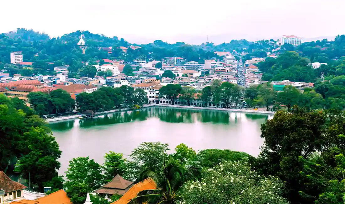 Serene Sri Lanka: 5-Day Island Odyssey