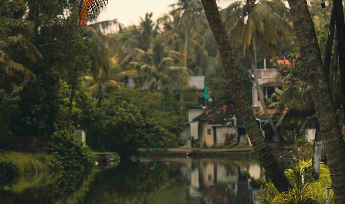 Kerala Spice Trail: 5-Day Culinary & Cultural Sojourn