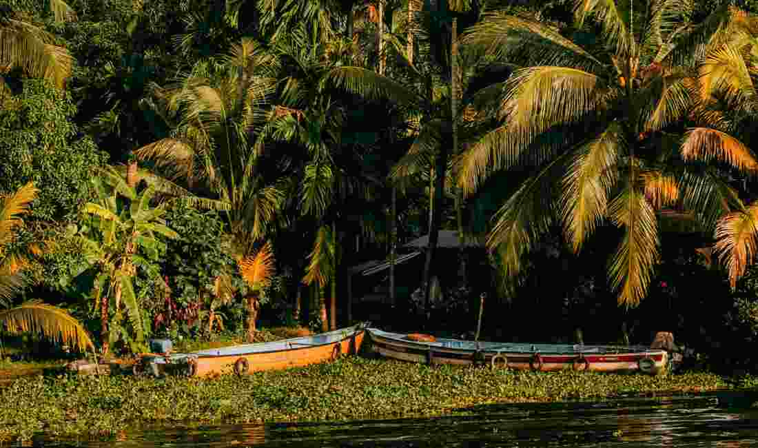 Kerala Backwater Bliss: 7-Day Serene Retreat