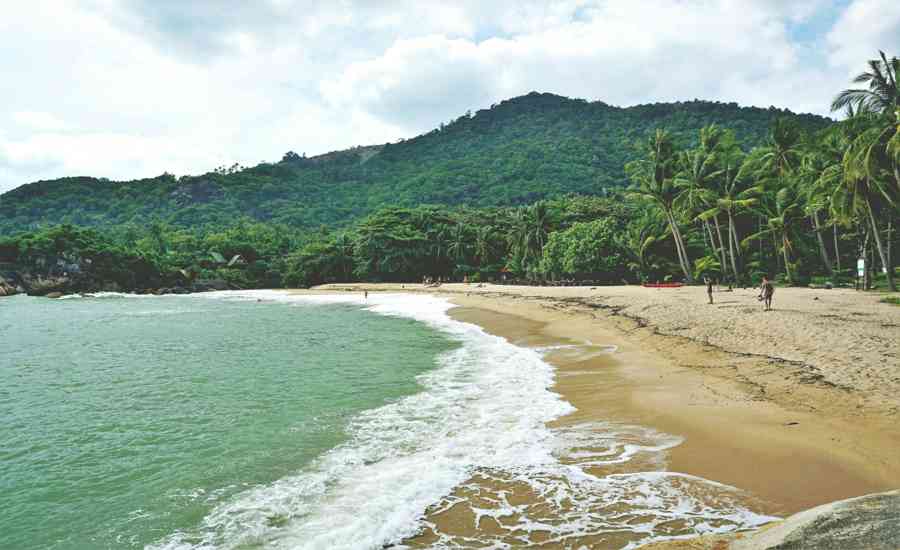 Beachfront Bliss